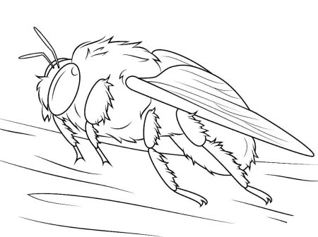 Оса для раскрашивания детям