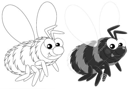 Раскраска насекомые Шмель