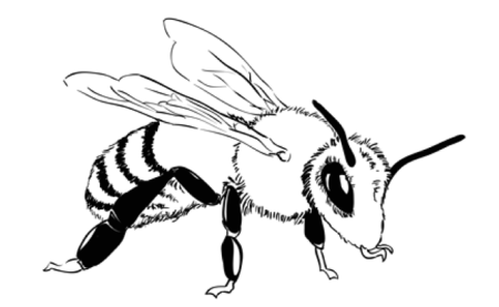 Раскраска Оса для детей 5-6 лет