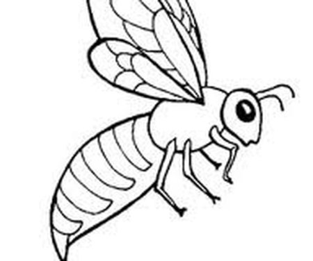 Смешная пчела раскраска