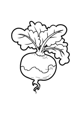 Раскраска. Репка