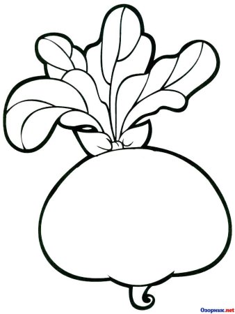 Раскраска. Репка