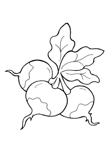 Раскраска. Репка