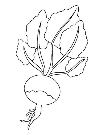 Репка рисунок для детей