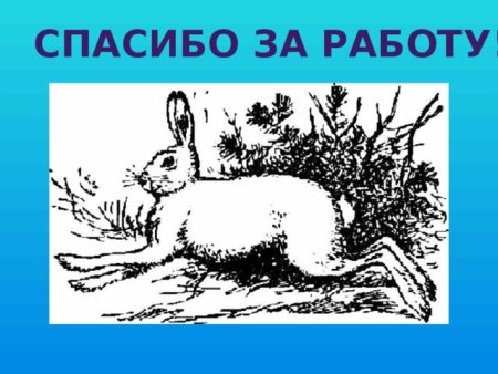 Пришвин синий лапоть