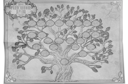 Родословная Байрамуковых фамильное Древо