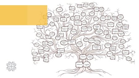 Family Tree раскраска