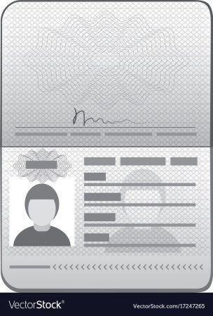 Паспорт рисунок