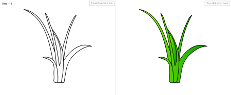 Раскраска морские водоросли