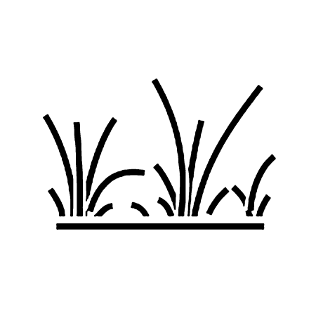 Травка рисунок карандашом