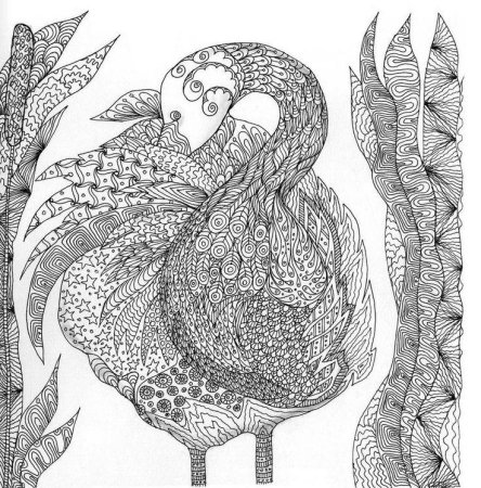 Раскраски для взрослых