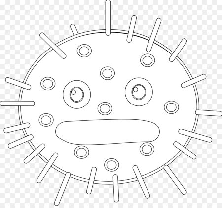 Раскраска короно вирус