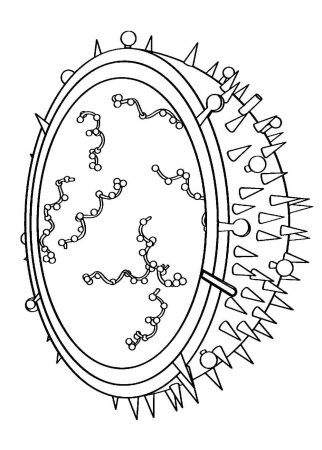 Раскраски вирусы и бактерии для детей