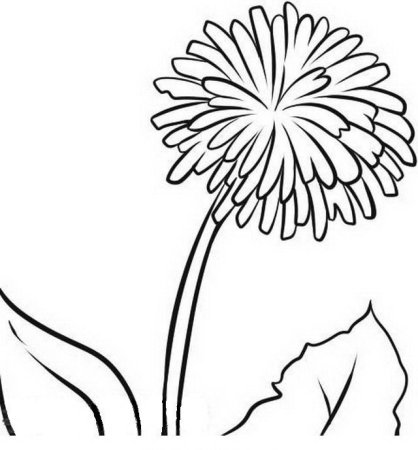 Цветы раскраска для детей