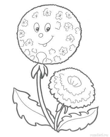 Одуванчик контур