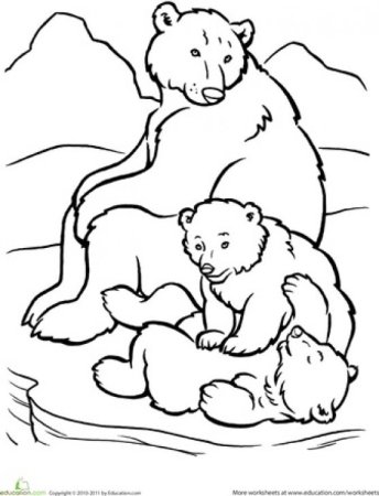 Раскраска Медведица с медвежатами для детей