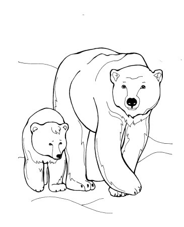 Раскраска медведь зима. Медведь с медвежатами зимой