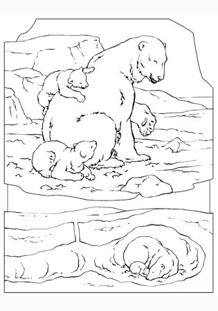 Раскраска Медведица с медвежатами для детей