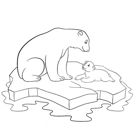 Северный медведь рисунок