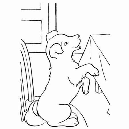 Раскраска собака на задних лапах