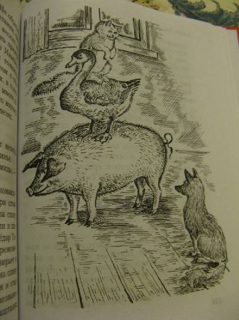 Каштанка раскраска