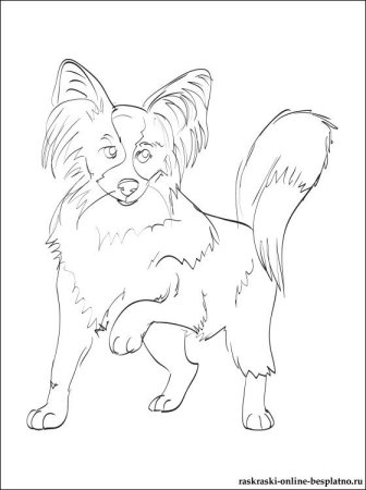 Каштанка рисунок карандашом