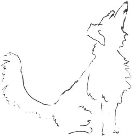 Каштанка раскраска к рассказу Чехова