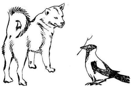 Иллюстрация к произведению Пришвина выскочка