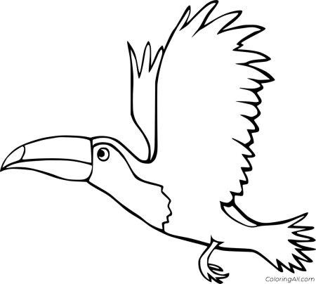 Птицы. Раскраска