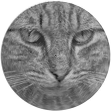 Spiroglyphics Пейтон