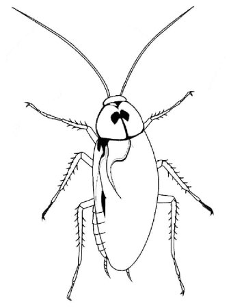 Тараканище Чуковский раскраска для детей