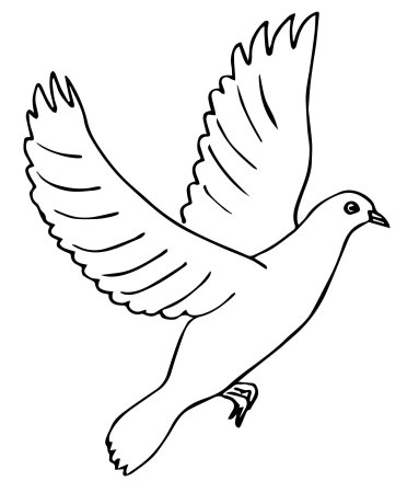 Голубь раскраска