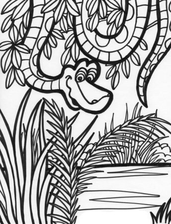 Раскраска джунгли для детей