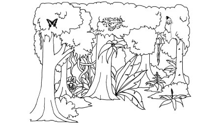 Раскраска джунгли