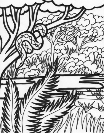 Раскраска джунгли