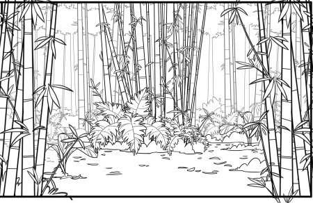 Раскраска тропический лес