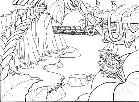 Животные джунглей раскраска