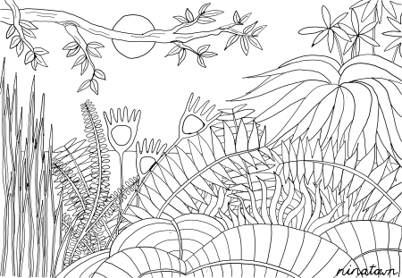 Раскраска джунгли для детей