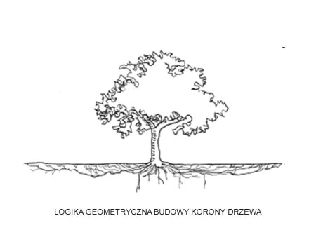 Раскраска дерево без листьев