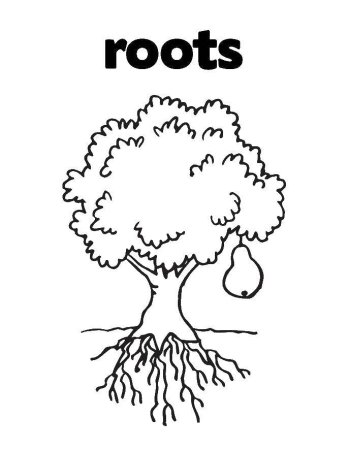 Дерево с корнями трафарет