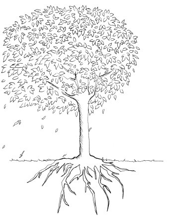 Ветвистое дерево с корнями