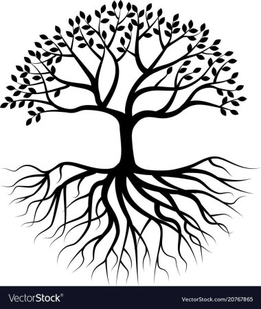 Дерево рисунок без листьев с корнями