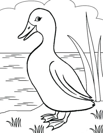 Пришвин хромка раскраска