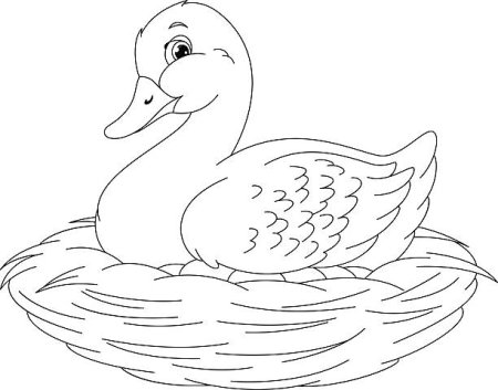 Утка раскраска для детей на прозрачном фоне