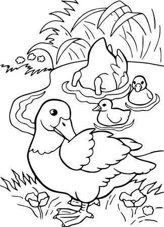 Трафарет утки с утятами