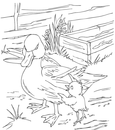 Раскраска утка с утятами на пруду