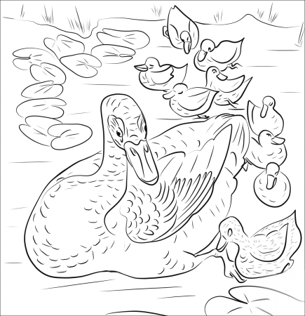 Пришвин хромка раскраска