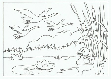 Волшебная сказка белая уточка