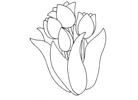 Раскраска цветы тюльпаны