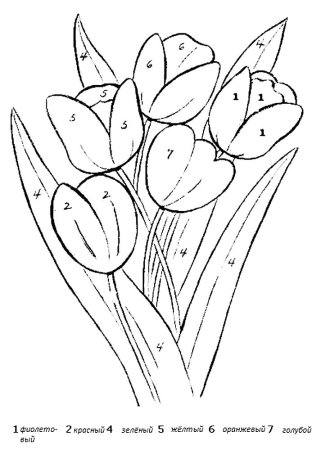 Тюльпан раскраска